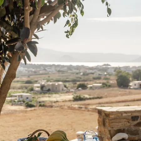 Naxian Pearl Apartment Mikri Vigla