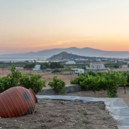 Naxian Pearl Apartment Mikri Vigla